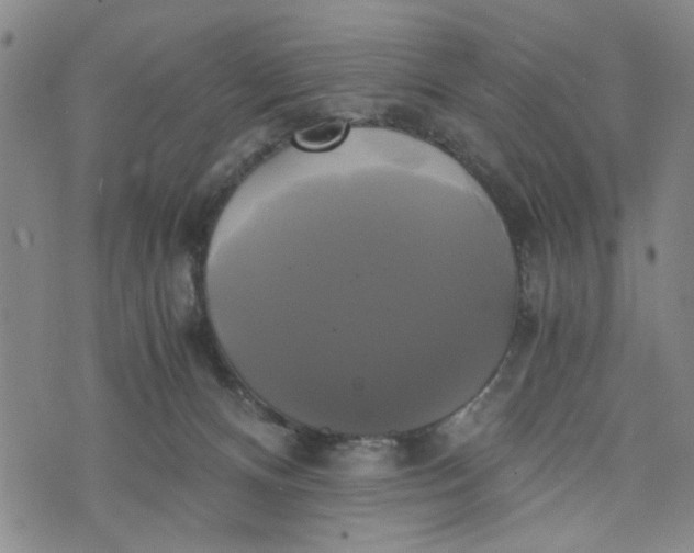 X0000076330128200610161718