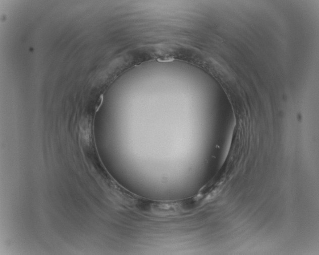 X0000076330129200610161718