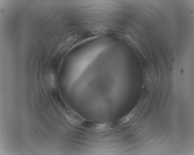 X0000076330130200610161718