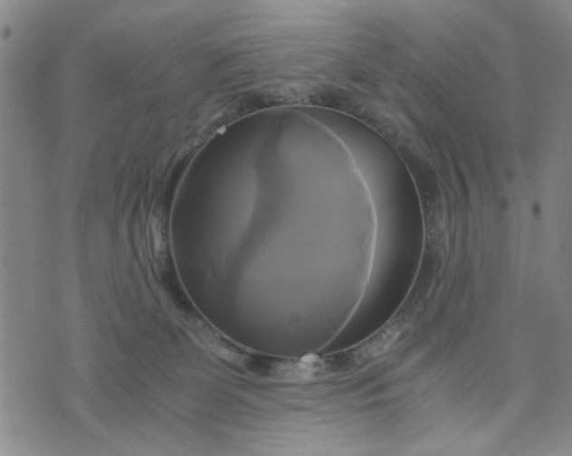 X0000076330131200610161718