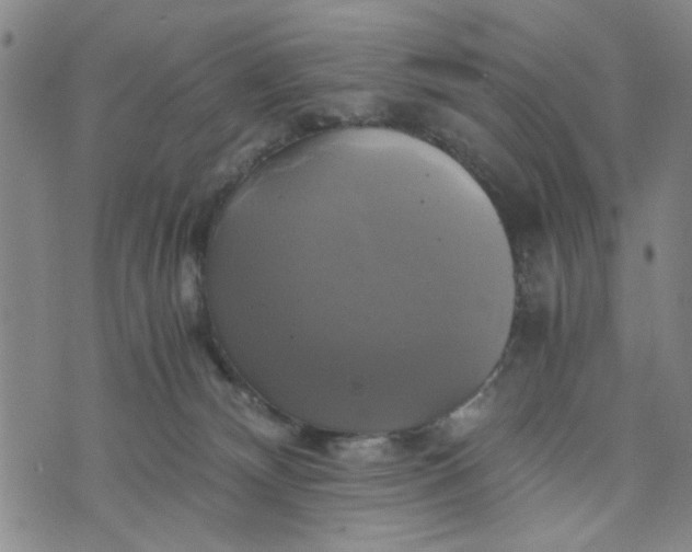 X0000076330132200610161718