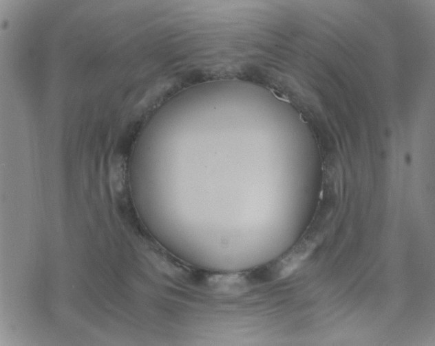 X0000076330133200610161718