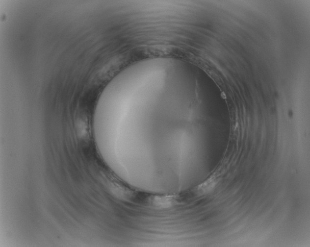 X0000076330134200610161718