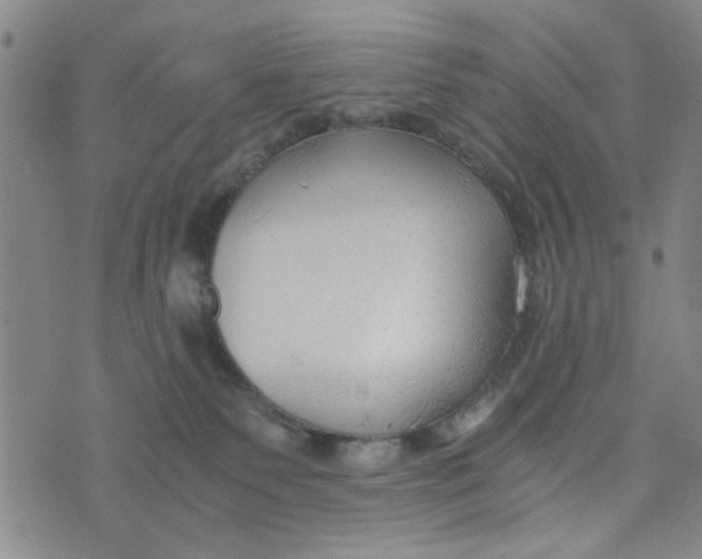 X0000076330135200610161718