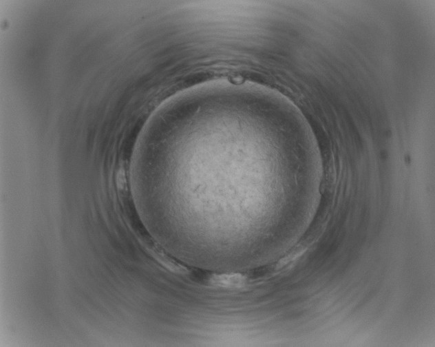 X0000076330137200610161718