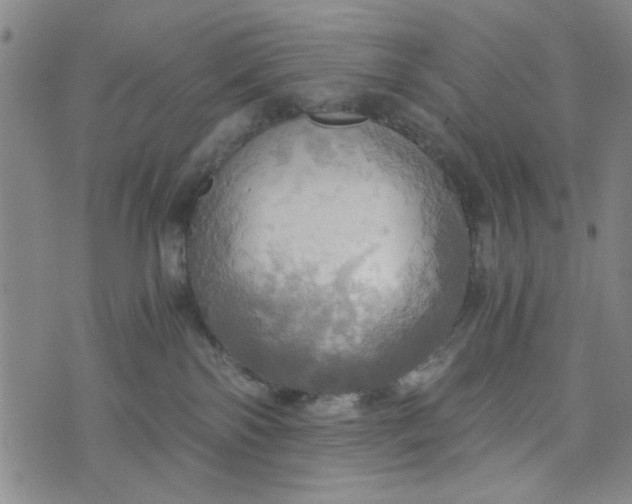 X0000076330138200610161718