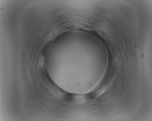 X0000076330139200610161718