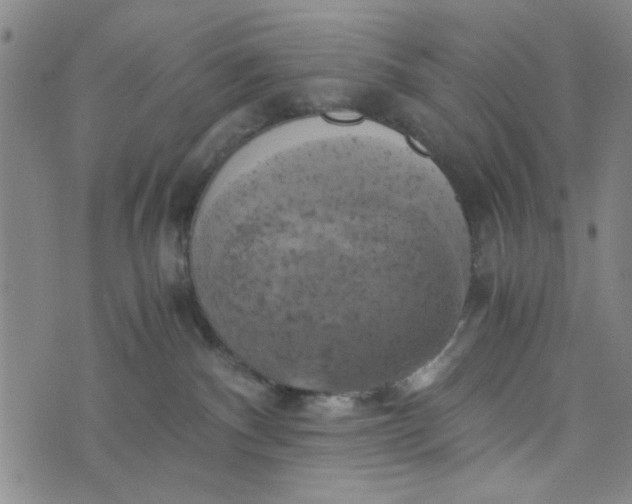 X0000076330140200610161718