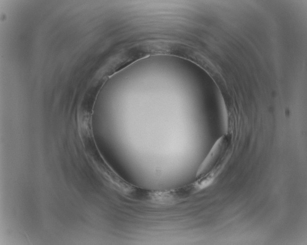 X0000076330141200610161718