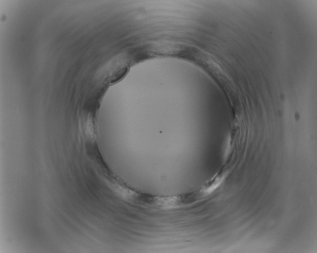 X0000076330143200610161718