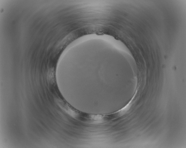 X0000076330144200610161718