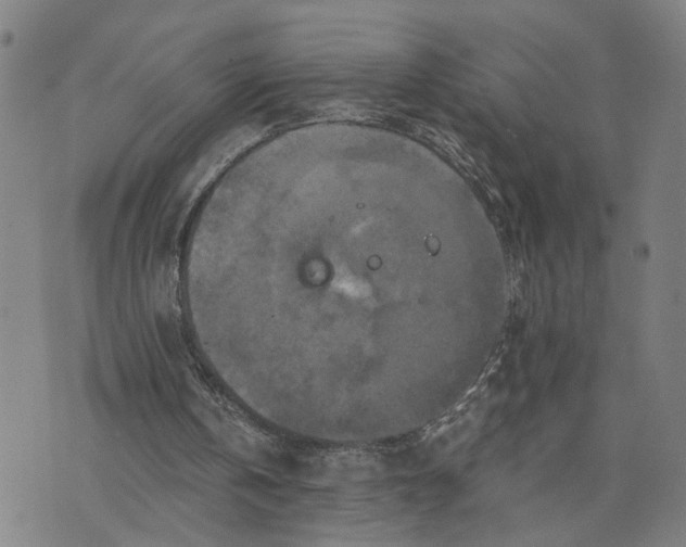 X0000076330146200610161717