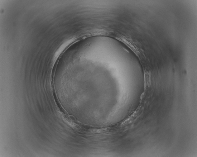 X0000076330147200610161717