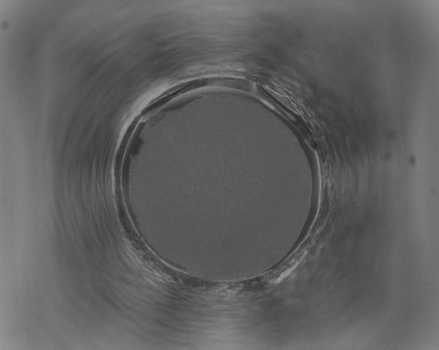 X0000076330148200610161717