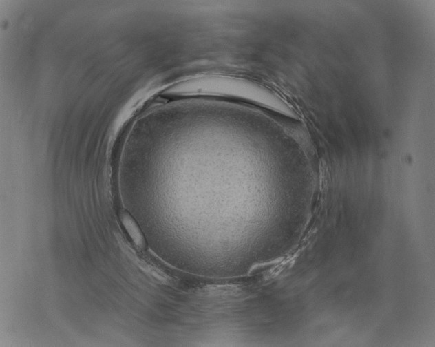 X0000076330150200610161717