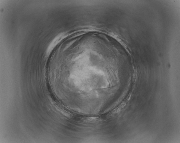 X0000076330151200610161717