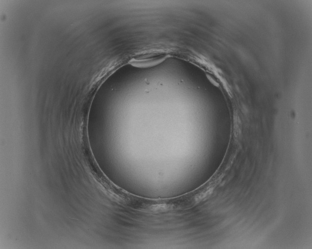 X0000076330153200610161717