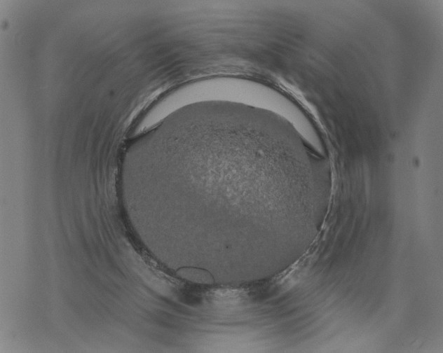 X0000076330154200610161717