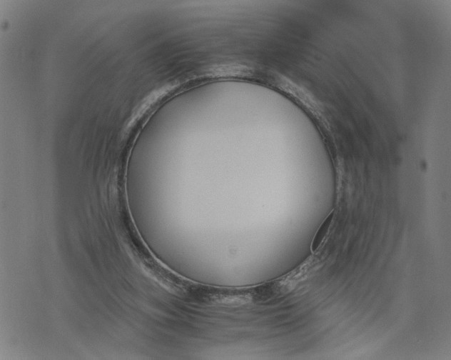 X0000076330155200610161717