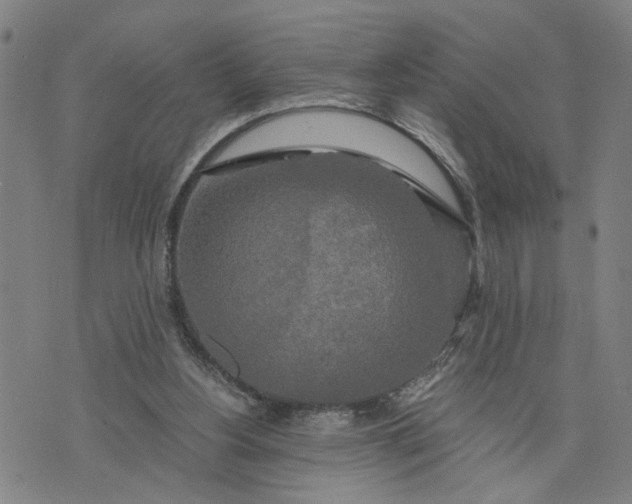 X0000076330156200610161717