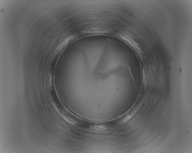 X0000076330157200610161717