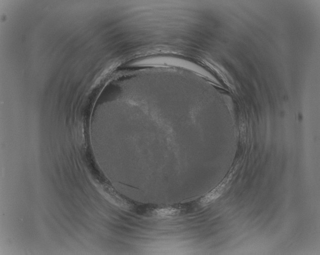 X0000076330158200610161717