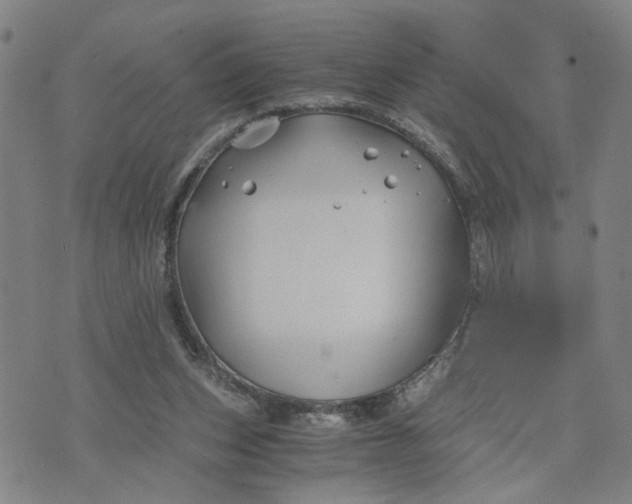 X0000076330159200610161717