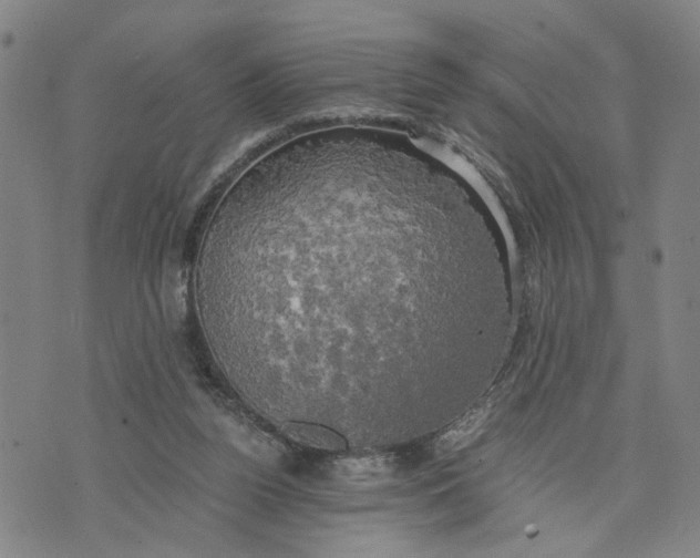 X0000076330160200610161717