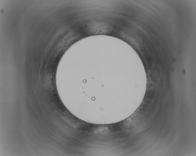 X0000076330162200610161717