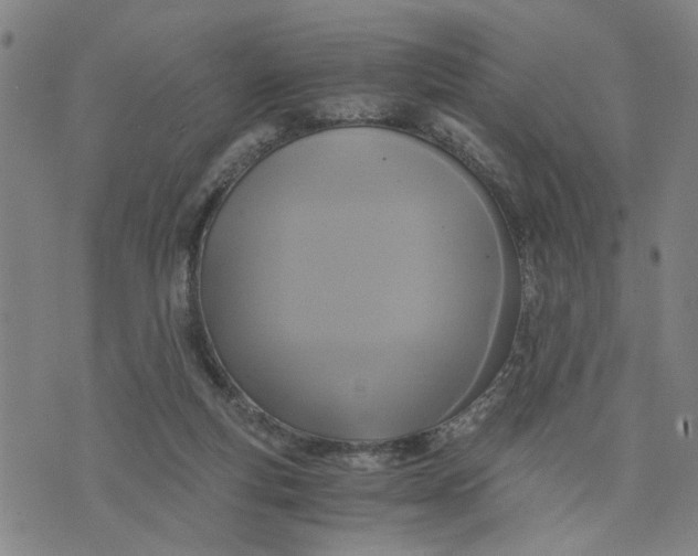 X0000076330163200610161717