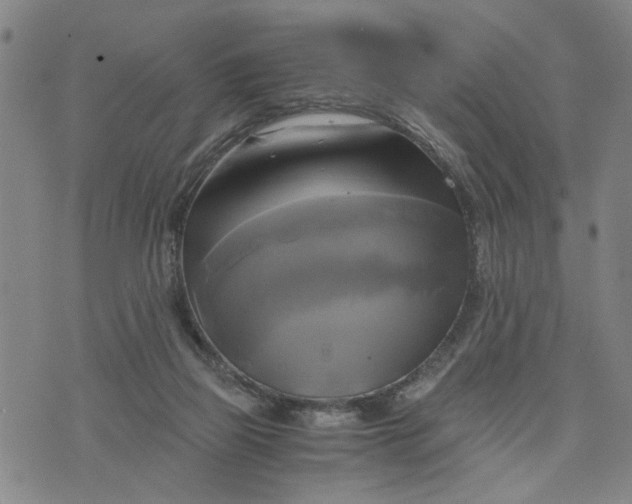 X0000076330165200610161717