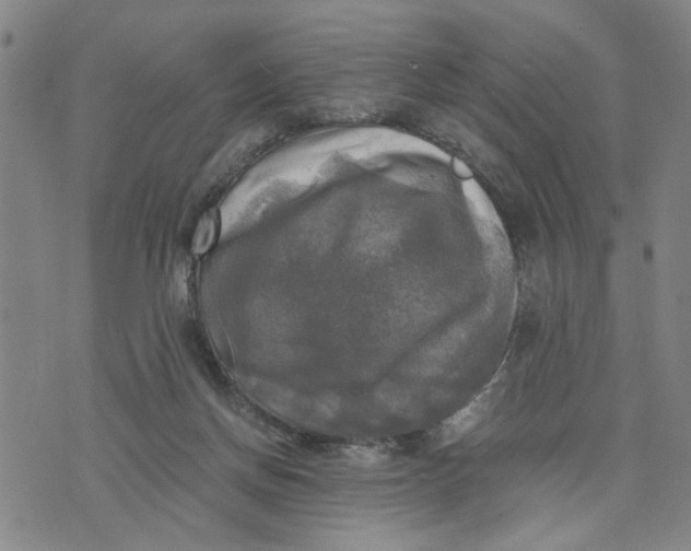 X0000076330166200610161718