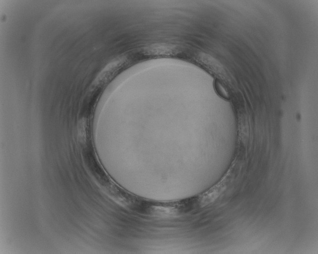 X0000076330167200610161718