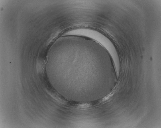 X0000076330168200610161718