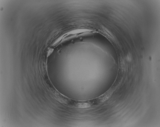 X0000076330169200610161718