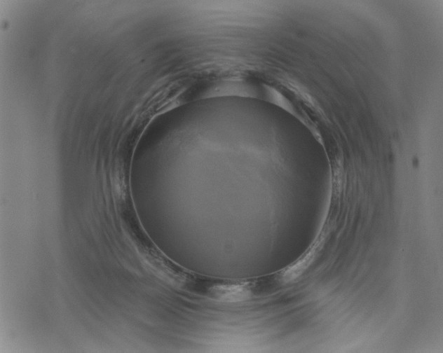 X0000076330170200610161718