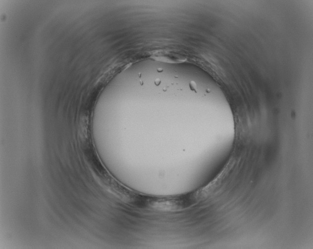 X0000076330171200610161718