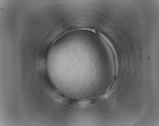 X0000076330172200610161718