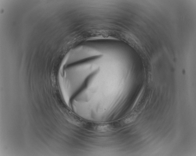 X0000076330173200610161718