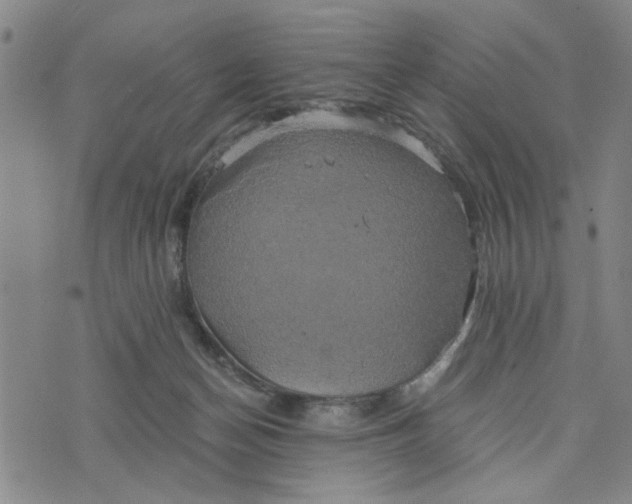 X0000076330174200610161718