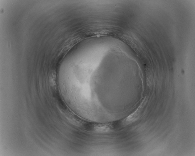 X0000076330175200610161718