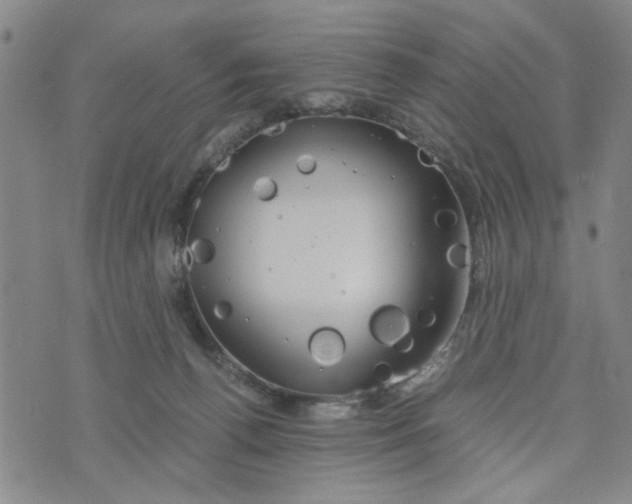 X0000076330176200610161718