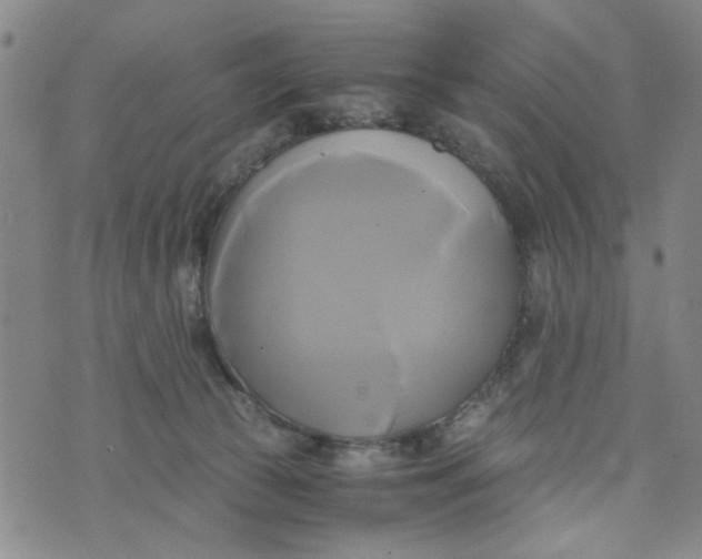 X0000076330177200610161718