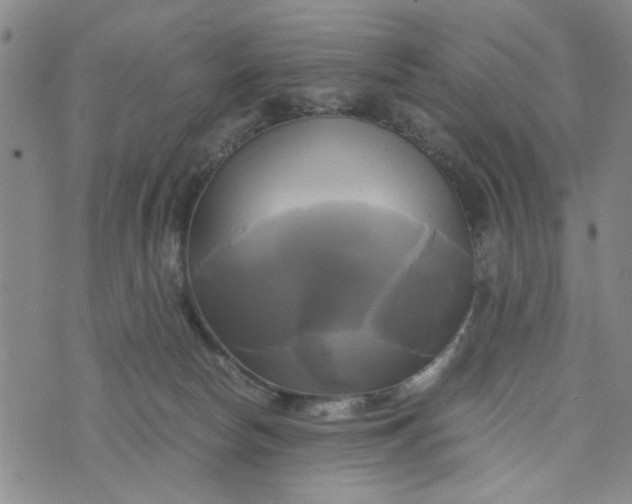 X0000076330178200610161718