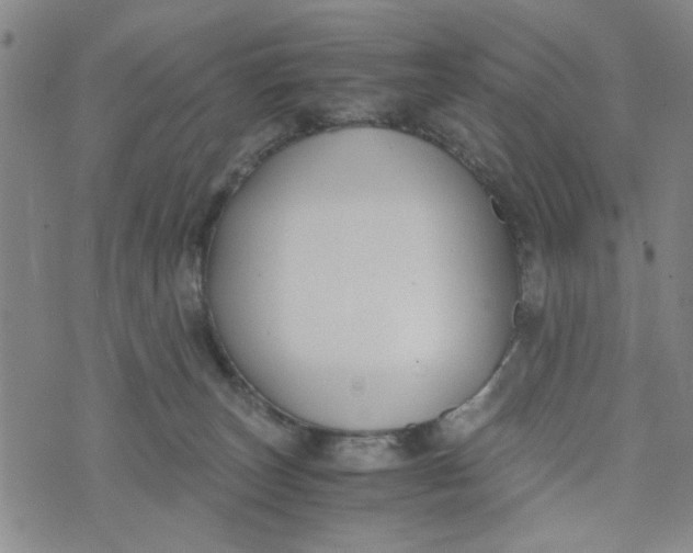 X0000076330179200610161718