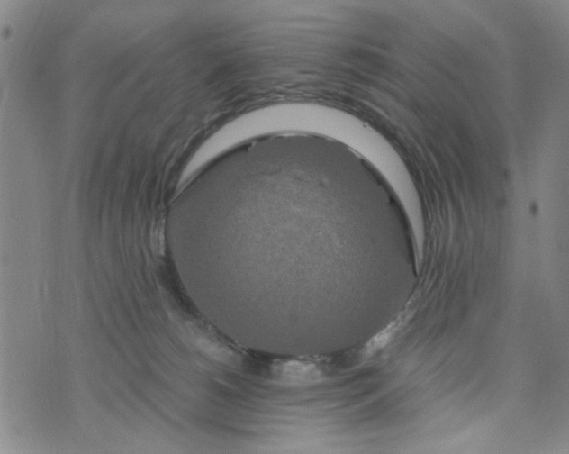 X0000076330180200610161718