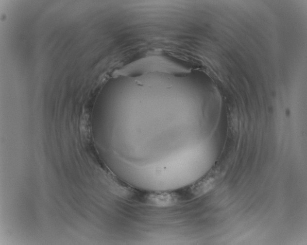 X0000076330181200610161718