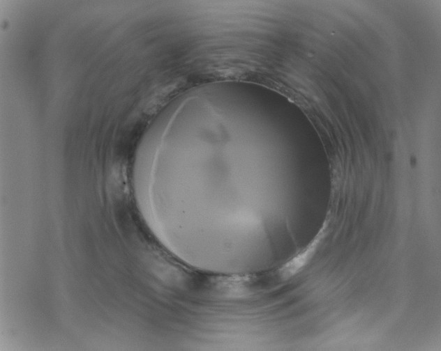 X0000076330182200610161718