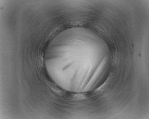 X0000076330183200610161718