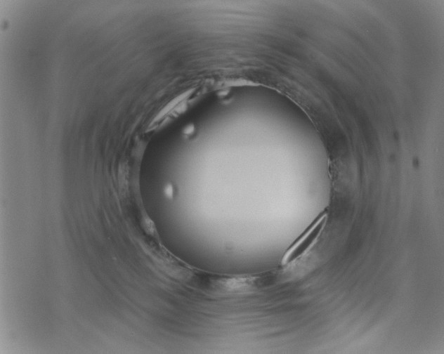 X0000076330184200610161718